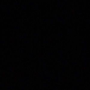 Meet your Posher, Dylan